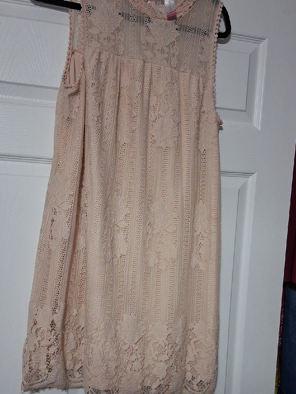 No Boundaries Blush Lace A-Line Dress